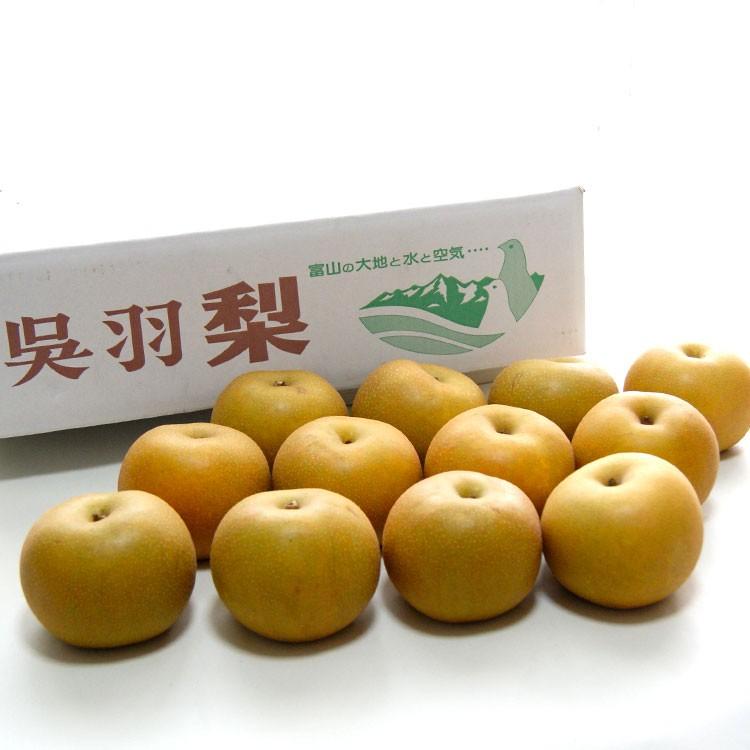 予約販売 石川梨園の 呉羽梨 富山県産 大玉１０ １２玉 約５kg 赤秀品 常温便 送料込 0177 いっとうもの 通販 Yahoo ショッピング