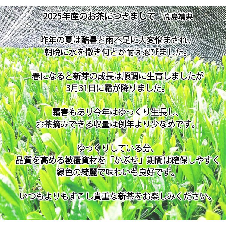 2025年産 茶 水出し 緑茶 1袋 約100g （ティーバッグ5g×20袋） 無