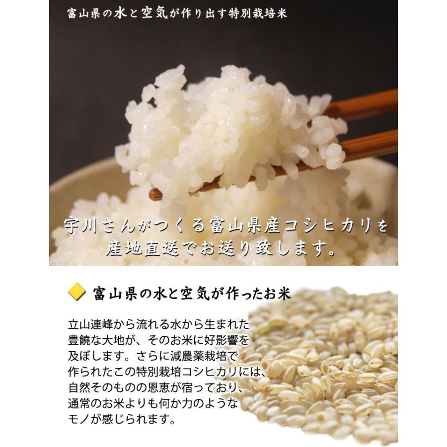 コシヒカリ 令和7年産米 減農薬特別栽培米 宇川さんの 玄米 5kg×2袋 