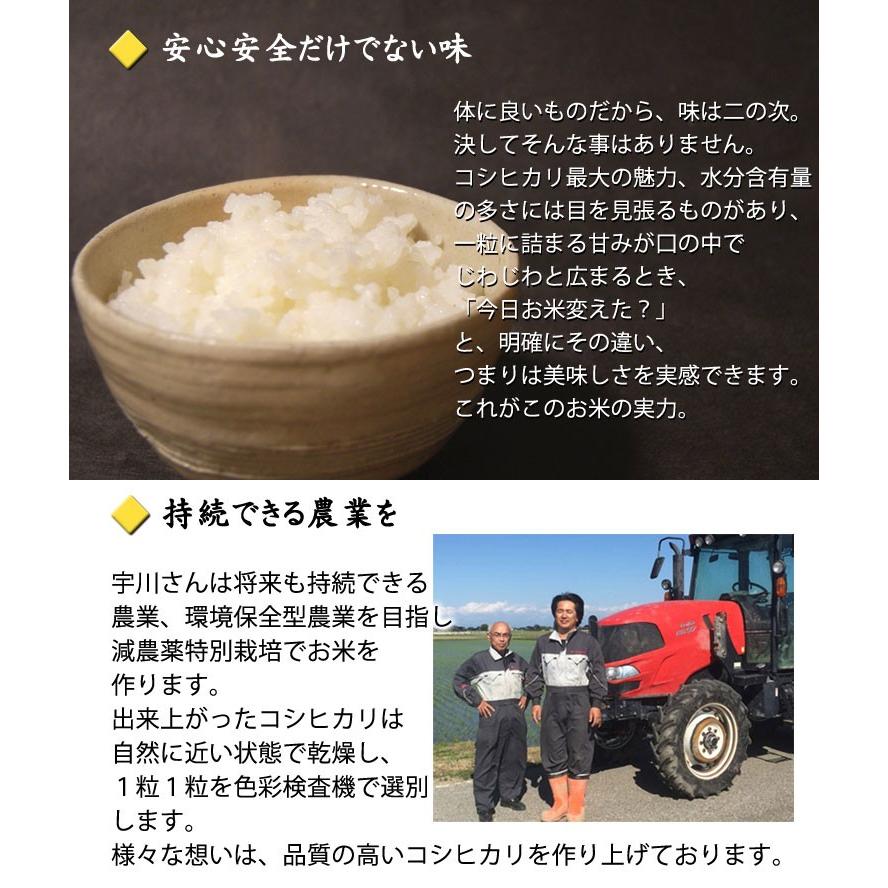 タイムセール開催中 減農薬 新米コシヒカリ１０キロ(中粒)農家直送