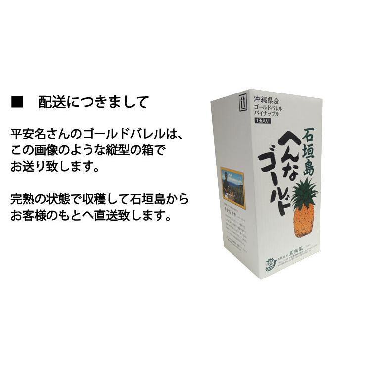平安名さんのゴールドバレル 減農薬栽培 石垣島産 1玉 1.7〜2.1kg