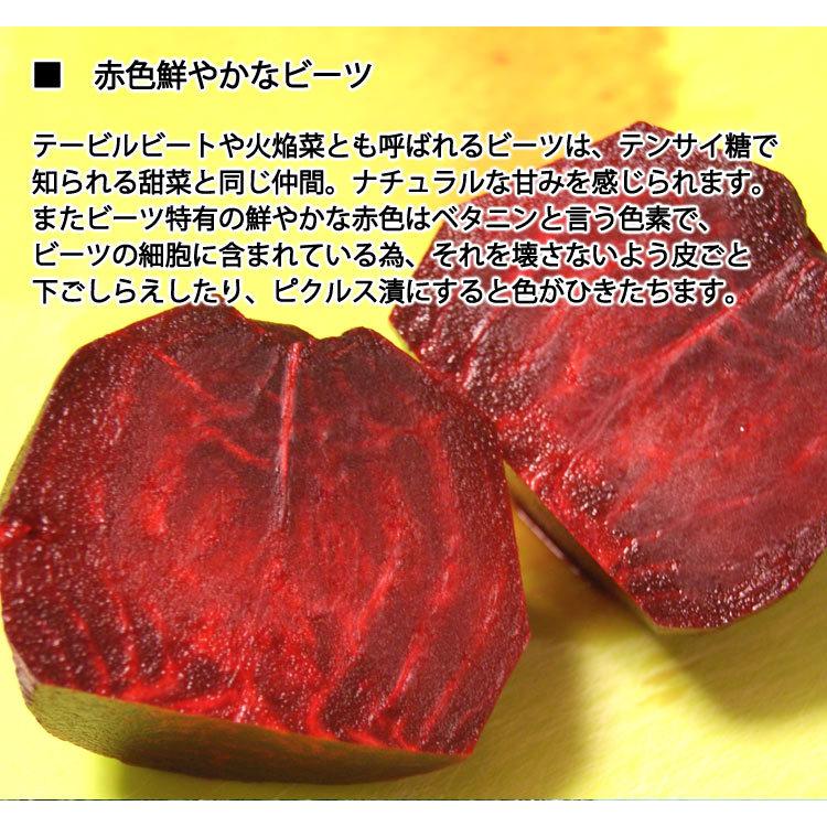 贈与 加瀬農園の 有機ビーツ テーブルビート 有機栽培 千葉県産 大小混在約２kg 常温便 送料込 Whitesforracialequity Org