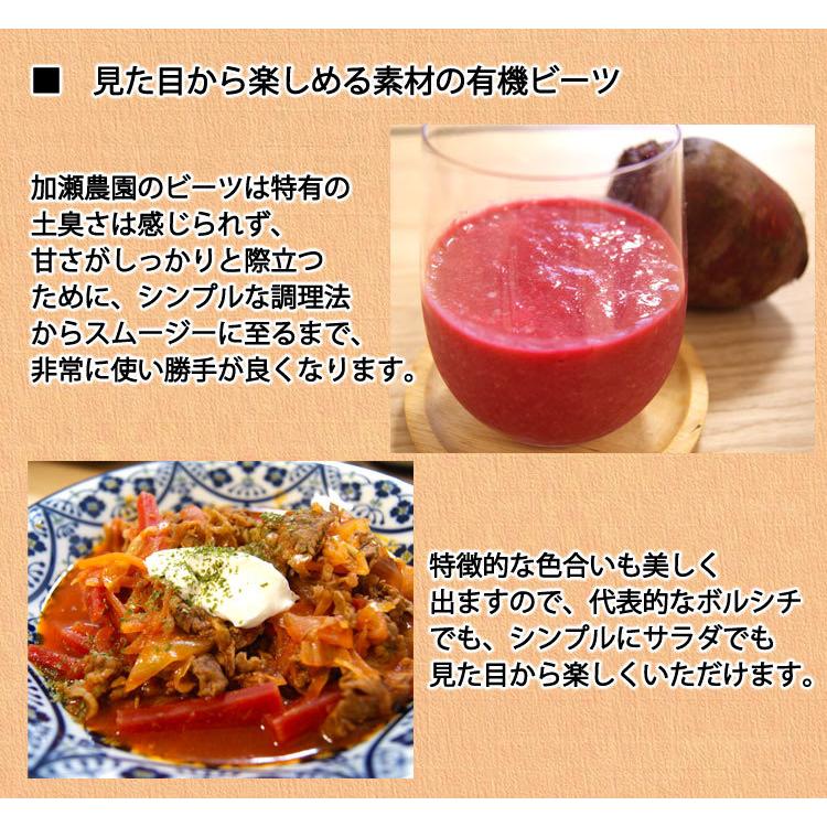 加瀬農園の 有機ビーツ テーブルビート 有機栽培 千葉県産 大小混在約２kg 常温便 送料込 03 いっとうもの 通販 Yahoo ショッピング