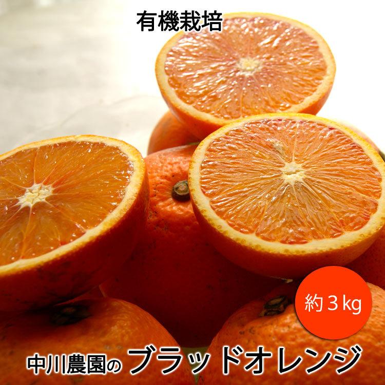 中川農園の 有機 ブラッドオレンジ 有機栽培 愛媛県産 混在約3kg モロ