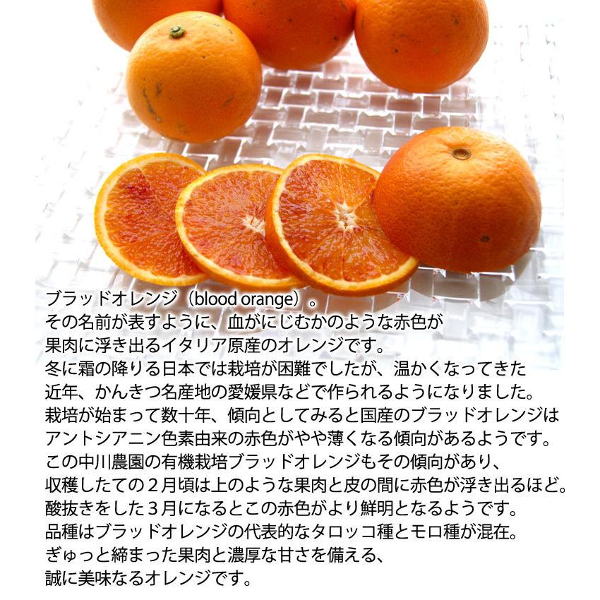 中川農園の 有機 ブラッドオレンジ 有機栽培 愛媛県産 混在約3kg モロ