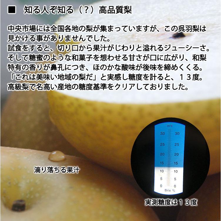 当日発送可］呉羽梨 新高10kg 減農薬有機栽培 規格外276