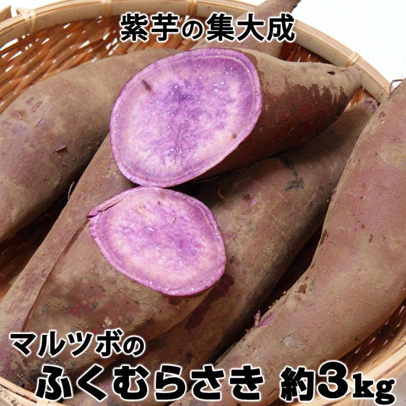 紫芋 マルツボの ふくむらさき 減農薬 特別栽培 茨城県産 大小混在 約３kg 紫色の さつまいも 常温便 送料込（Yahoo!・いっとうもの）