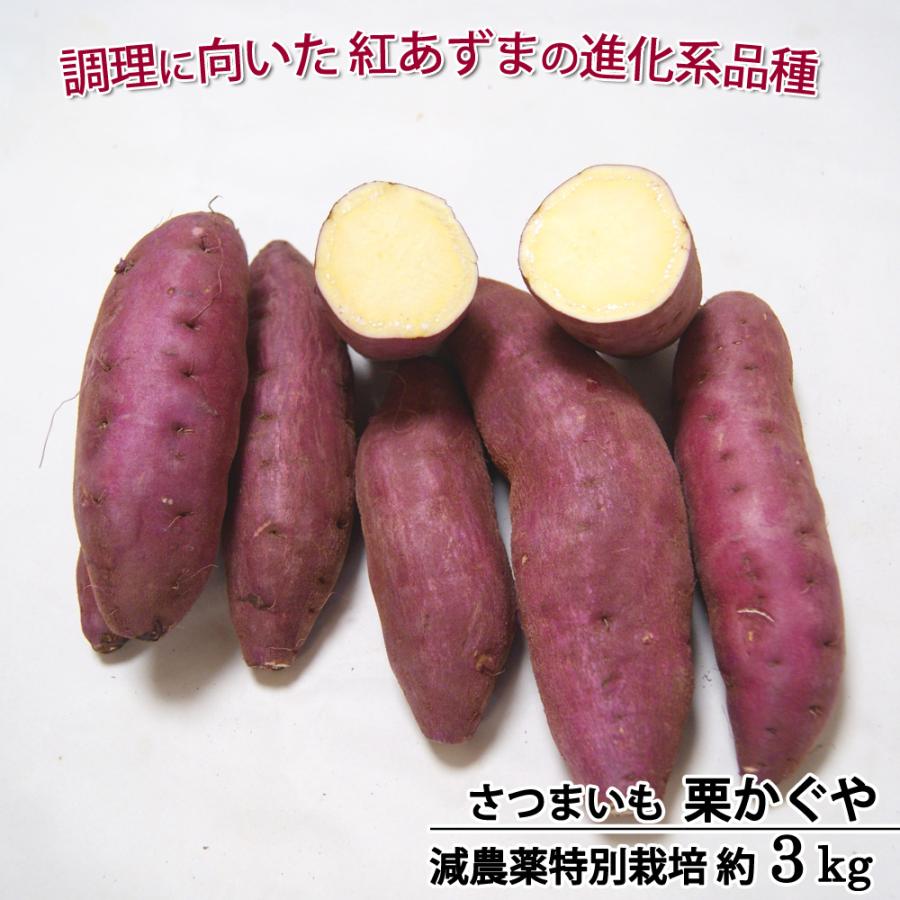 さつまいも 栗かぐや 減農薬 特別栽培 千葉県産 M〜L混在 約3kg 紅