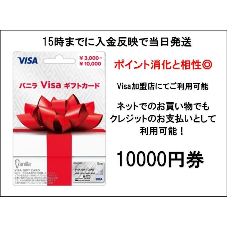バニラVisaギフトカード（プリペイドカード）10000円分｜ituwagift