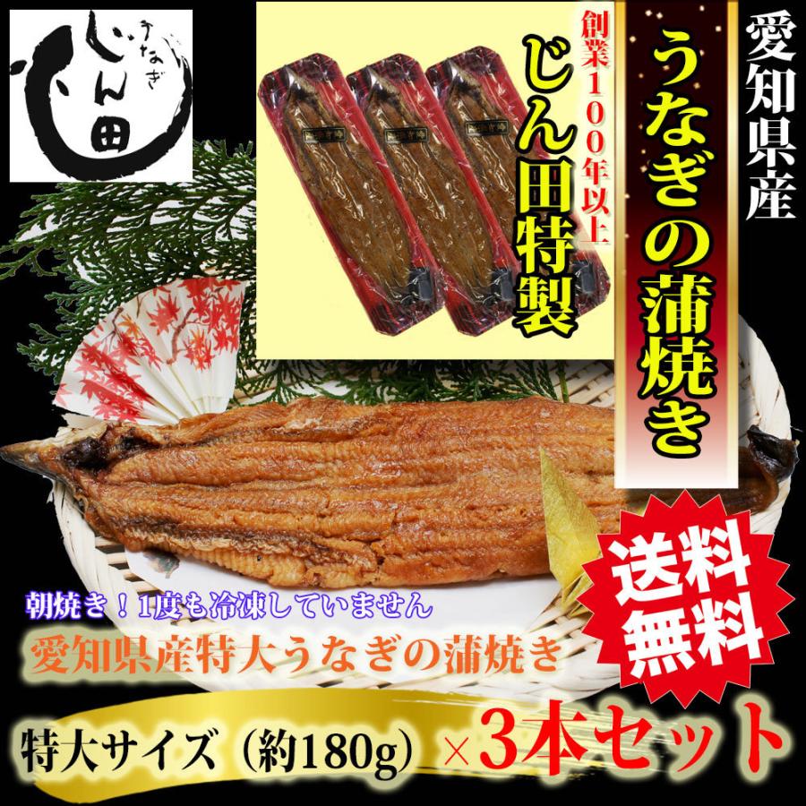 うなぎ 鰻 ウナギ じん田 鰻 特大蒲焼き 長焼き3枚 180g 愛知産 国産 炭火焼 お得な3枚セット｜iuchisuisan