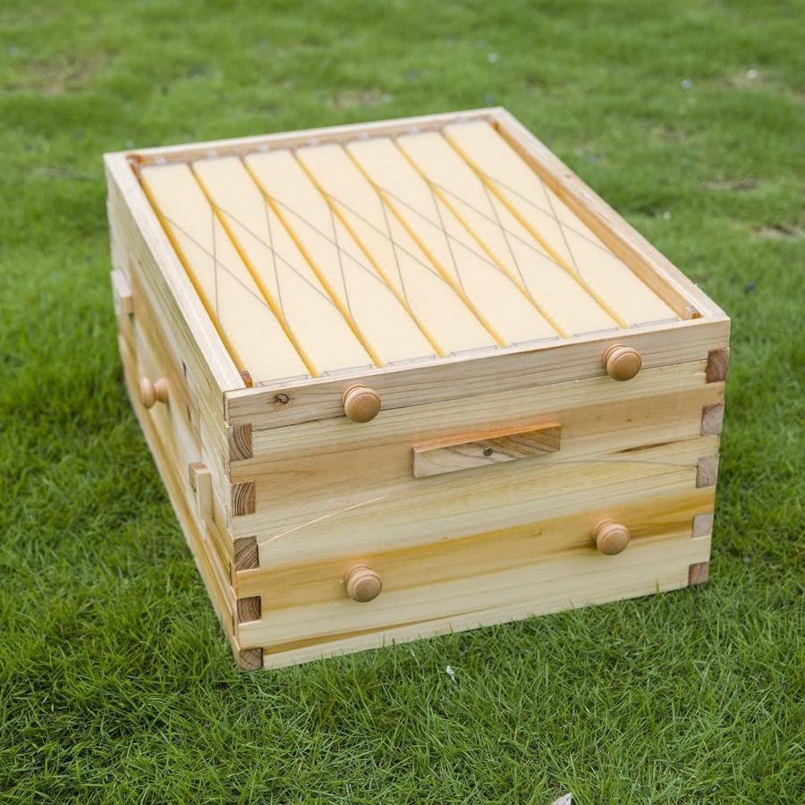 蜜蜂巣箱 ミツバチ巣箱 養蜂箱 巣箱 蜂箱 フローハイブ養蜂セット 蜜蜂 