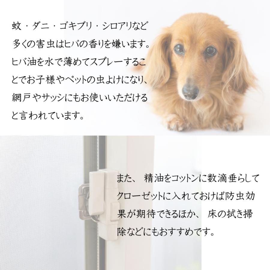 贈答品 天然素材 茶瓶タイプ アロマスプレー 1000円ポッキリ スプレータイプ 天然ヒバ油 10ml 2本 日本製 エッセンシャルオイル アロマ 芳香 送料無料 虫よけスプレー エッセンシャルオイル