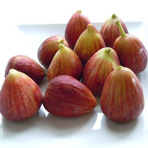 完熟いちじく約1kg 無農薬 有機肥料栽培 極甘 生果実 2パック 8個 12個 送料無料 栽培農園より直送 Fig 有機自然農園アイビィファーム 通販 Yahoo ショッピング