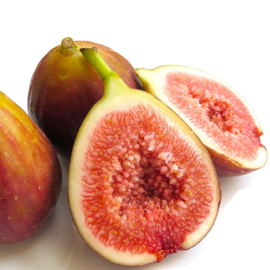 完熟いちじく約1kg 無農薬 有機肥料栽培 極甘 生果実 2パック 8個 12個 送料無料 栽培農園より直送 Fig 有機自然農園アイビィファーム 通販 Yahoo ショッピング