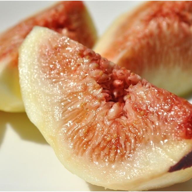 完熟いちじく 無農薬 有機肥料栽培 極甘 生果実 4パック 16個 24個 送料無料 栽培農園より直送 Fig 有機自然農園アイビィファーム 通販 Yahoo ショッピング