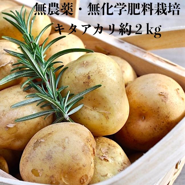 新じゃがいも 無農薬有機肥料栽培 きたあかり 約2kg 奈良県産 お気にいる
