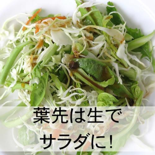 ザーサイ　無農薬　有機栽培 生菜　2〜3本｜ivyfarm-organic｜10