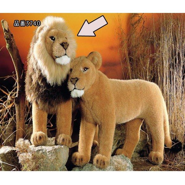 （お得な特別割引価格） 48cm おすライオン’９８ kosen ぬいぐるみ ケーセン “Talek” 動物 リアル Lion ぬいぐるみ