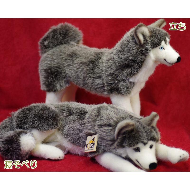 ケーセン ぬいぐるみ Kosen シベリアンハスキー 寝そべり 41cm ドイツ