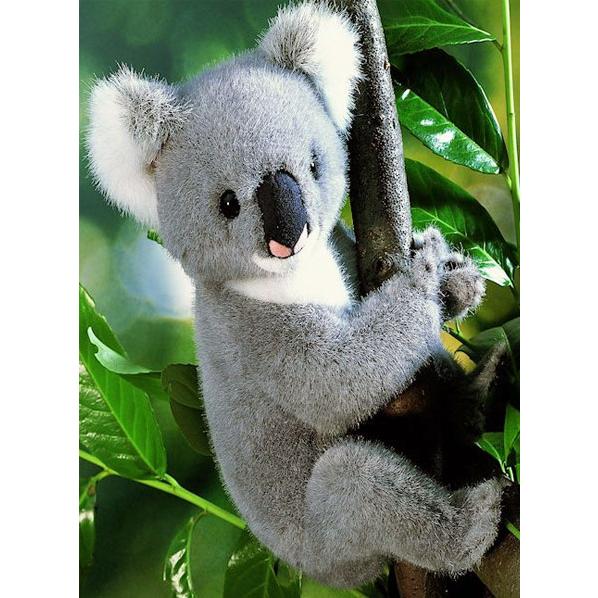 ケーセン ぬいぐるみ Kosen コアラ 23cm Koala ドイツ製 リアル 動物