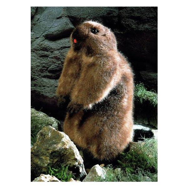 ケーセン ぬいぐるみ kosen マーモット 34cm Marmot Groundhog リアル
