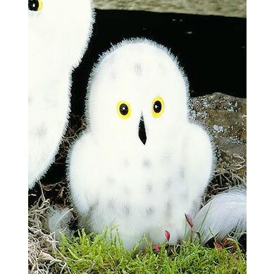 ケーセン ぬいぐるみ Kosen シロフクロウ フロッケ 小 15cm Schneeeule
