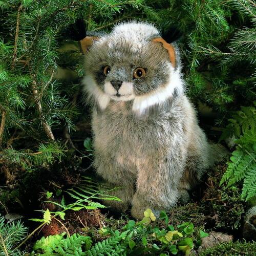 ケーセン ぬいぐるみ Kosen オオヤマネコの子 (座り) 23cm Lynx Cub