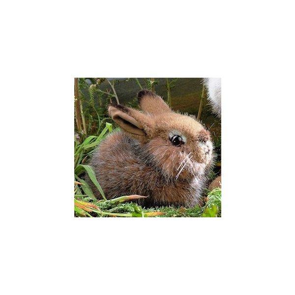 ケーセン ぬいぐるみ kosen 野うさぎの子 18cm “Hoppel” Rabbit リアル