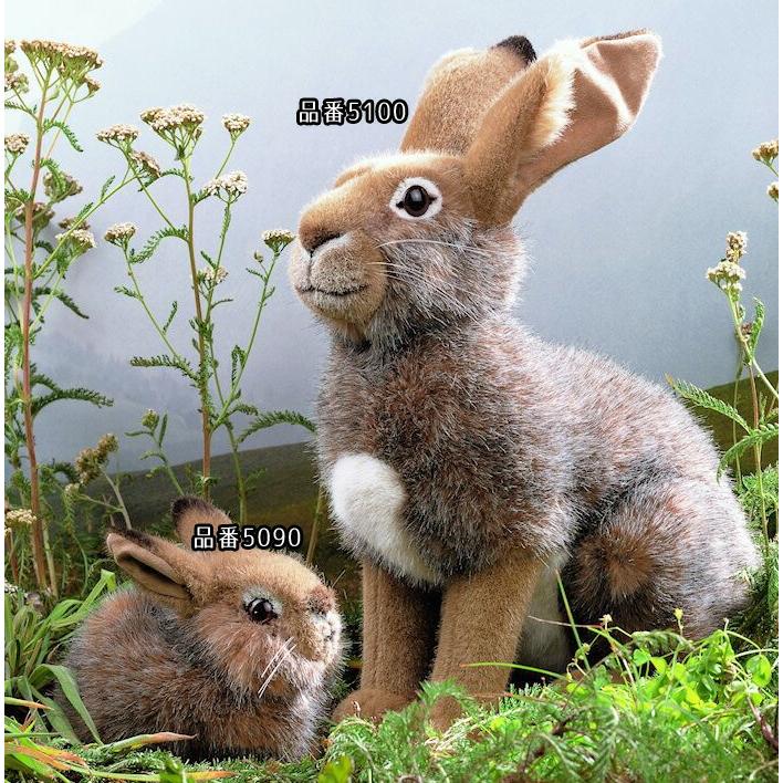 ケーセン ぬいぐるみ kosen 野うさぎの子 18cm “Hoppel” Rabbit リアル 動物 子供 女の子 男の子