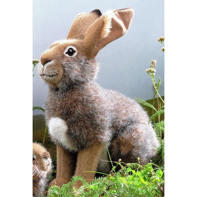 ケーセン ぬいぐるみ Kosen 野うさぎ 42cm Mummel Field Rabbit リアル 動物 子供 女の子 男の子 5100 テディベア専門店アイビールーム 通販 Yahoo ショッピング