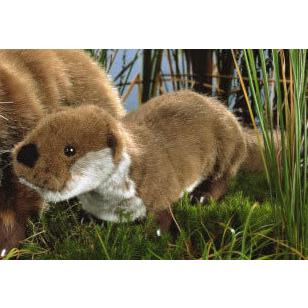 ケーセン ぬいぐるみ Kosen 小さなカワウソ「ロッティ」 36cm Kleiner