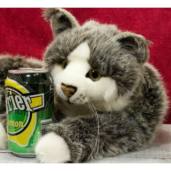 ケーセン ぬいぐるみ Kosen メインクーン「ジョディ」 74cm Main Coon