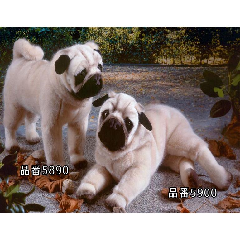 kosen パグ ぬいぐるみ ケーセン koesen ケーセン ぬいぐるみ Kosen パグ サー・ヘンリー 41cm ドイツ製 リアル