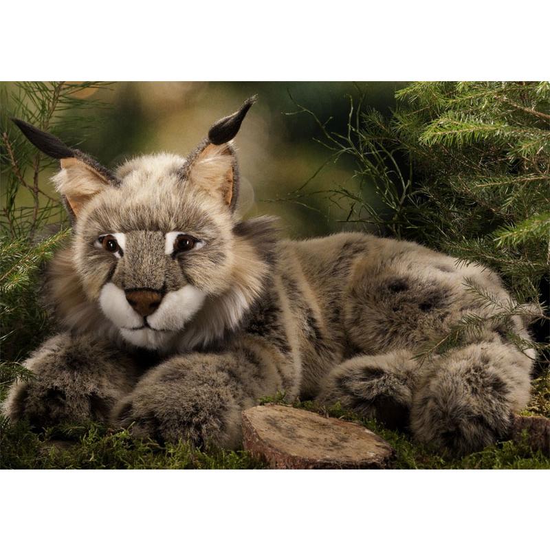 ケーセン ぬいぐるみ Kosen オオヤマネコ 伏せ 59cm Lynx lying ドイツ