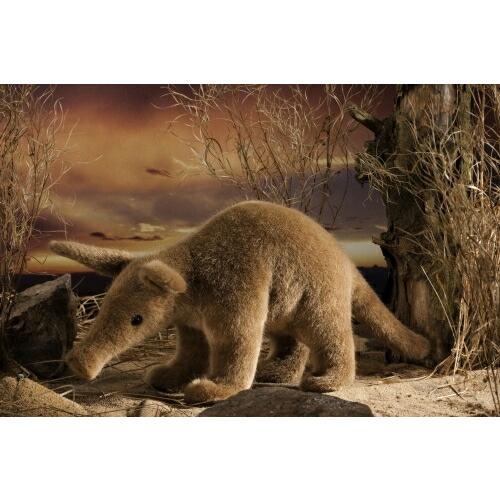 受注商品】ぬいぐるみ（ブタ） | KOESEN (Baby&Kids)/ケーセン | 三越