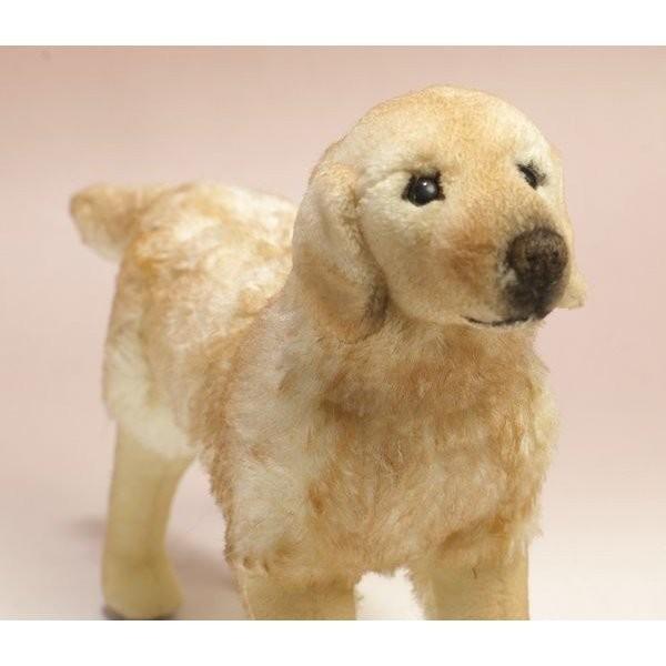 ケーセン ぬいぐるみ Kosen ゴールデンレトリバー cm イヌ 犬 の 犬 いぬ リアル 動物 6000 テディベア専門店アイビールーム 通販 Yahoo ショッピング