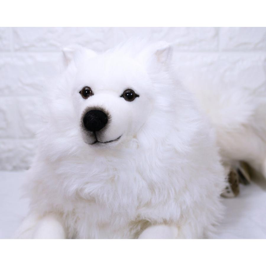 ケーセン ぬいぐるみ kosen スピッツ 伏せ 64cm Japanese Spitz Dog 犬