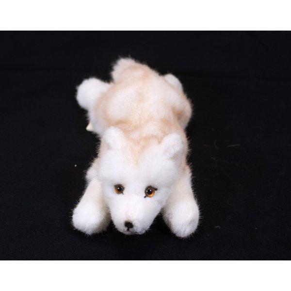 ケーセン ぬいぐるみ Kosen ホッキョクオオカミの子（伏せ） 20cm