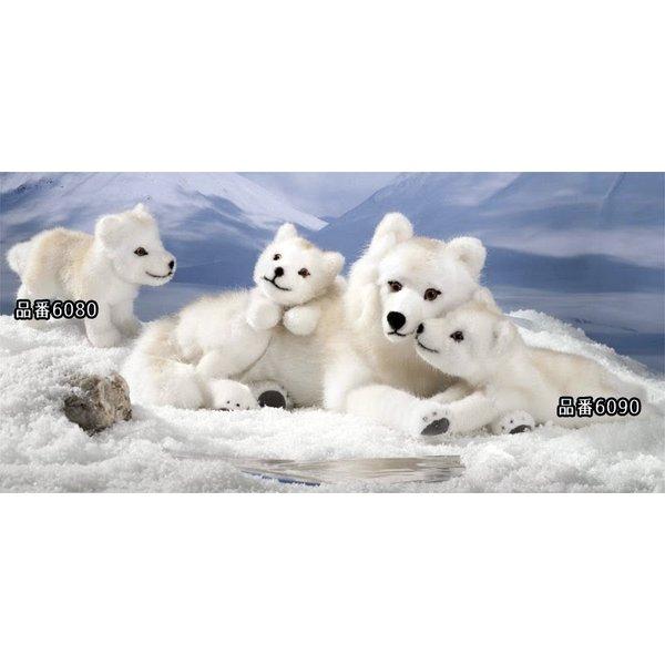 ケーセン ぬいぐるみ kosen 北極オオカミの子 伏せ 20cm Arctic Wolf