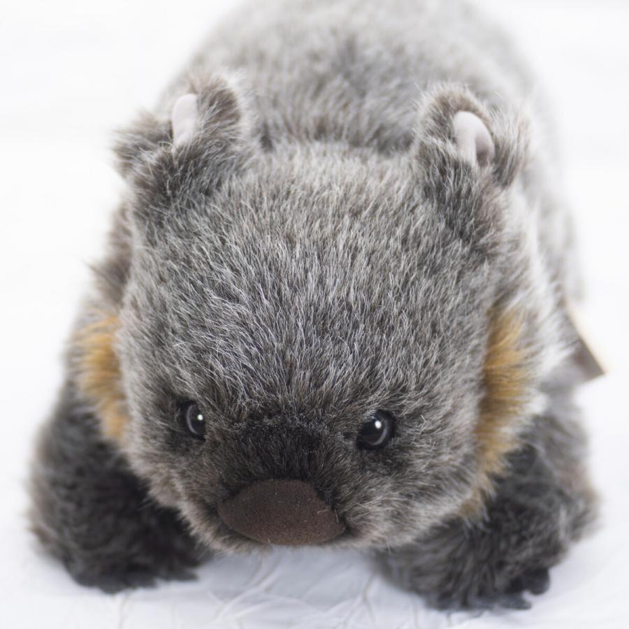 ケーセン ぬいぐるみ kosen ウォンバット 35cm WOMBAT リアル 動物