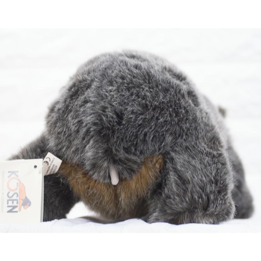 ケーセン ぬいぐるみ kosen ウォンバット 35cm WOMBAT リアル 動物