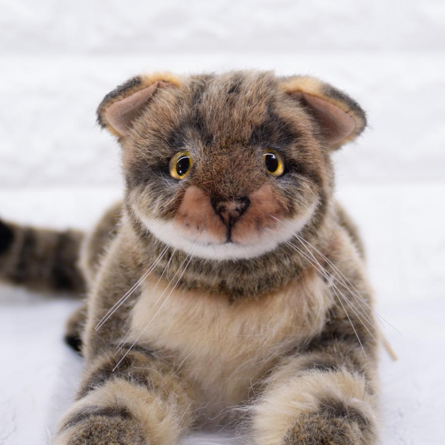 ワイルドキャット 小 Kosen ケーセン 29cm Peppi Wildcat ねこ ぬいぐるみ ネコ 猫 リアル 60 テディベア専門店アイビールーム 通販 Yahoo ショッピング
