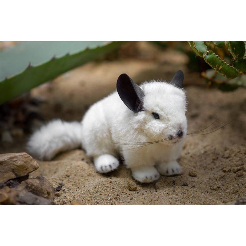 チンチラ 白 ケーセン Kosen 19cm Murmel Chinchilla ぬいぐるみ プレゼント リアル 動物 ギフト 子供 女の子 男の子 大人 クリスマス 6930 テディベア専門店アイビールーム 通販 Yahoo ショッピング