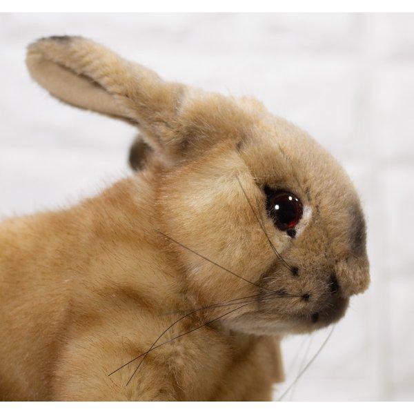 うさぎ ウサギ ベージュ ケーセン KOSEN 24cm Sahara Beige Rabbit
