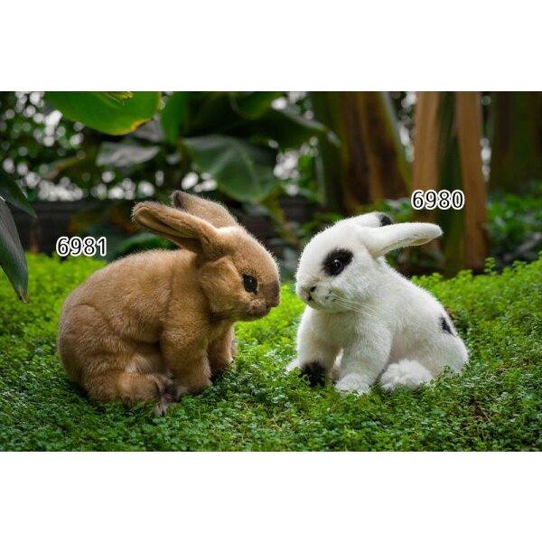 うさぎ ウサギ ベージュ ケーセン KOSEN 24cm Sahara Beige Rabbit
