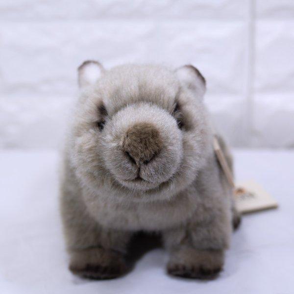 ケーセン ぬいぐるみ Kosen ウォンバットの子 24cm Wombat child