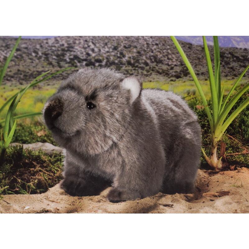 ケーセン ぬいぐるみ Kosen ウォンバット 子供 Wonbat Kind 24cm リアル 動物 6990 テディベア専門店アイビールーム 通販 Yahoo ショッピング