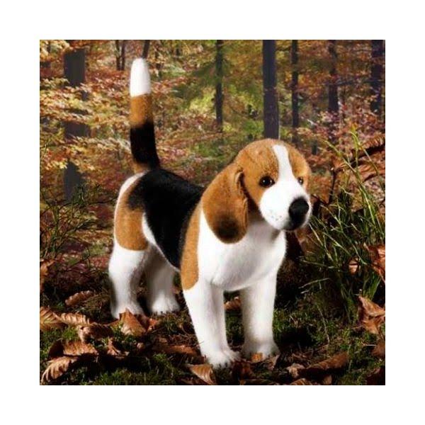 ケーセン ぬいぐるみ Kosen ビーグル 立ち姿 34cm ドイツ製 リアル 動物 犬 いぬ_3