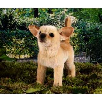 ケーセン ぬいぐるみ Kosen チワワ 27cm ドイツ製 リアル 動物 犬 いぬ_5