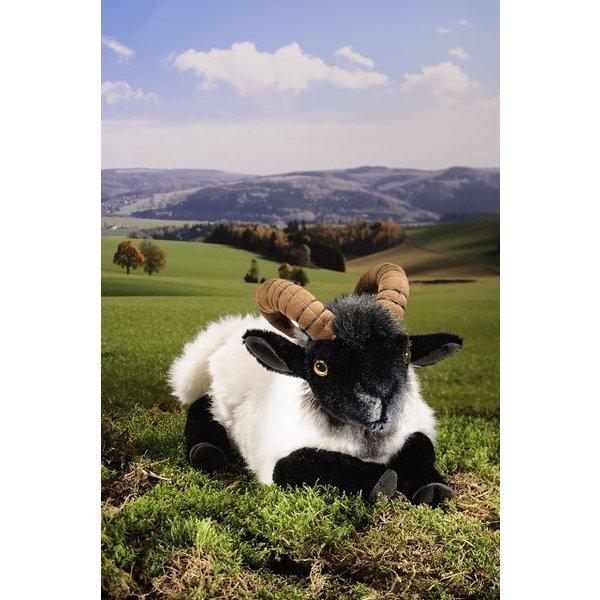 KOSEN ひつじ ぬいぐるみ ケーセン 楽天市場】ケーセン ぬいぐるみ kosen ジャーマングレーヒース